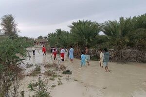 تداوم خدمات رایگان با جهاد دامپزشکی در مناطق سیل‌ زده سیستان و بلوچستان