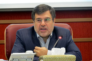 اهداف دولت باید از طریق سازمان‌های مردم نهاد پیگیری شود