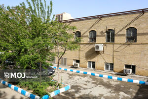 ۷ باغ در تهران برای تبدیل به بوستان در محلات کم‌برخوردار تملک می‌شود