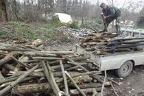 کشف و ضبط 3 تن چوب قاچاق در آران و بیدگل