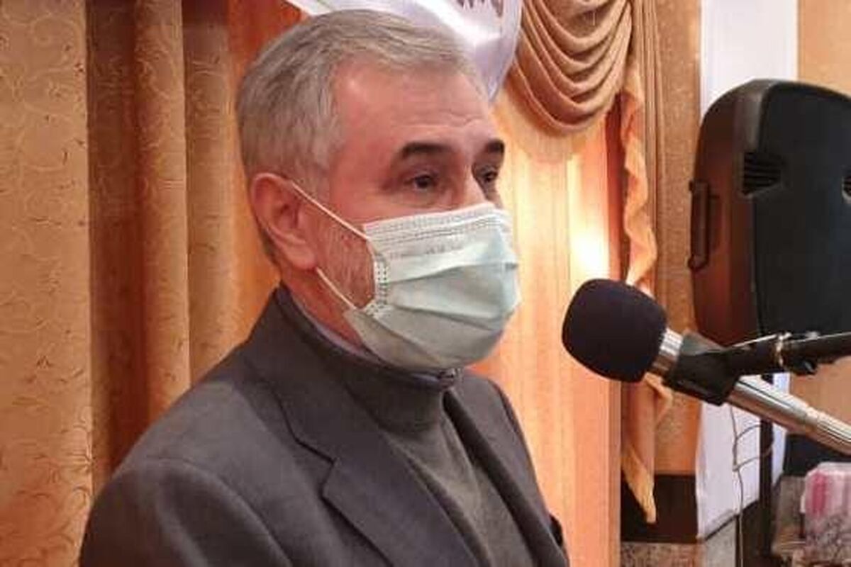 محمدرضا حبیبی
