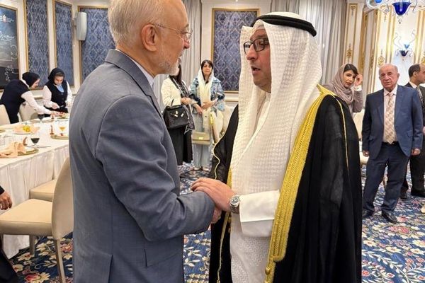 دیدار رئیس بنیاد ایران‌شناسی با سفرای کشورهای حوزه خلیج فارس