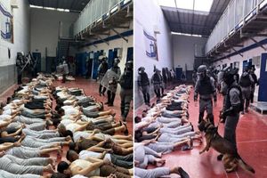 بیماری پوستی گال بین اسرای فلسطینی شیوع پیدا کرد