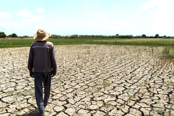 تالاب صالحیه علت وقوع پدیده گرد و غبار در تهران است