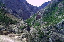 تبدیل پناهگاه حیات وحش دو دانگه وچهاردانگه به پارک ملی