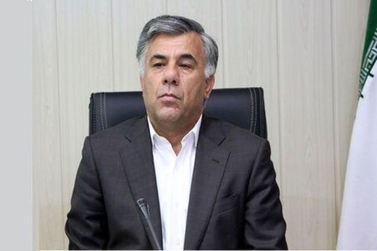 داریوش اسماعیلی معاون وزیر صمت