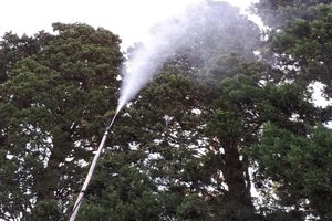 حفاظت از فضای سبز با شستشوی درختان کهنسال باغ فین کاشان+ فیلم 