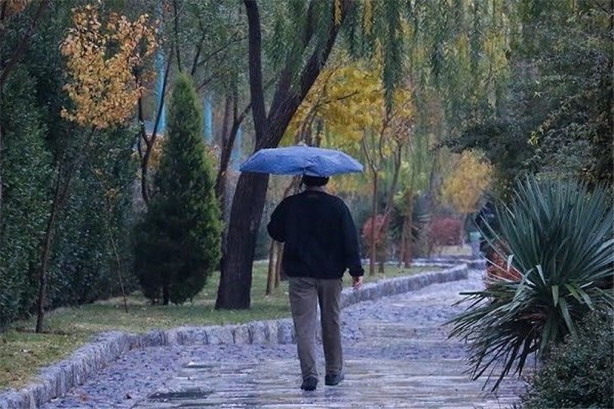 گیلان- بارش باران