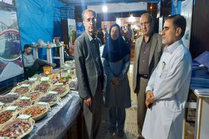 سرمایه گذاری در زیر بخش های کشاورزی سیستان وبلوچستان