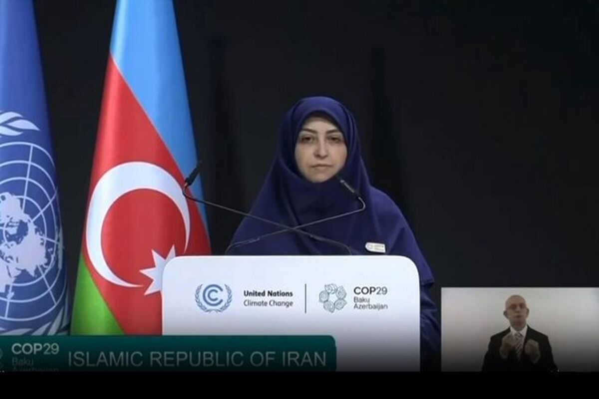 رئیس سازمان حفاظت از محیط زیست