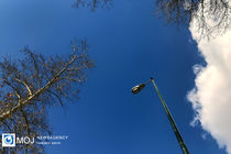 کیفیت هوای تهران ۵ دی ۱۴۰۲ / شاخص کیفیت هوای تهران روی عدد ۴۰ و سالم است