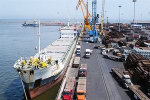  103 هزار تن غلات از پست قرنطینه گیاهی بندر امیرآباد ترخیص شد