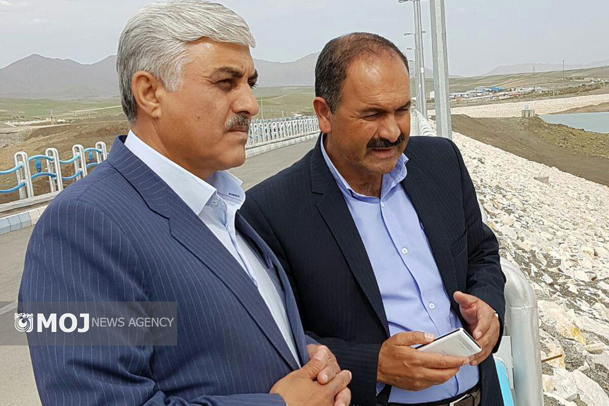 رضا میرزایی