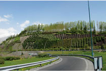 افزایش ۵ هزار متری فضای سبز با احداثرمپ و لوپ یادگار امام(ره)