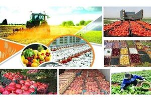 بیش از ۲۰ استاندارد ملی مرتبط با پرتودهی هسته‌ای بخش کشاورزی تدوین شد