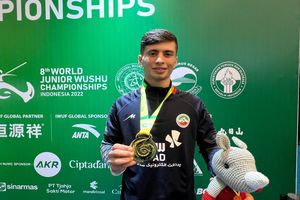 عرفان محرمی در ترکیب اصلی تیم ملی ووشو ایران برای مسابقات جهانی و بازی‌های کشورهای اسلامی