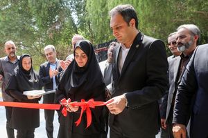 مسیر جدید گردشگری فرهنگی در جزیره آغاز شد + فیلم