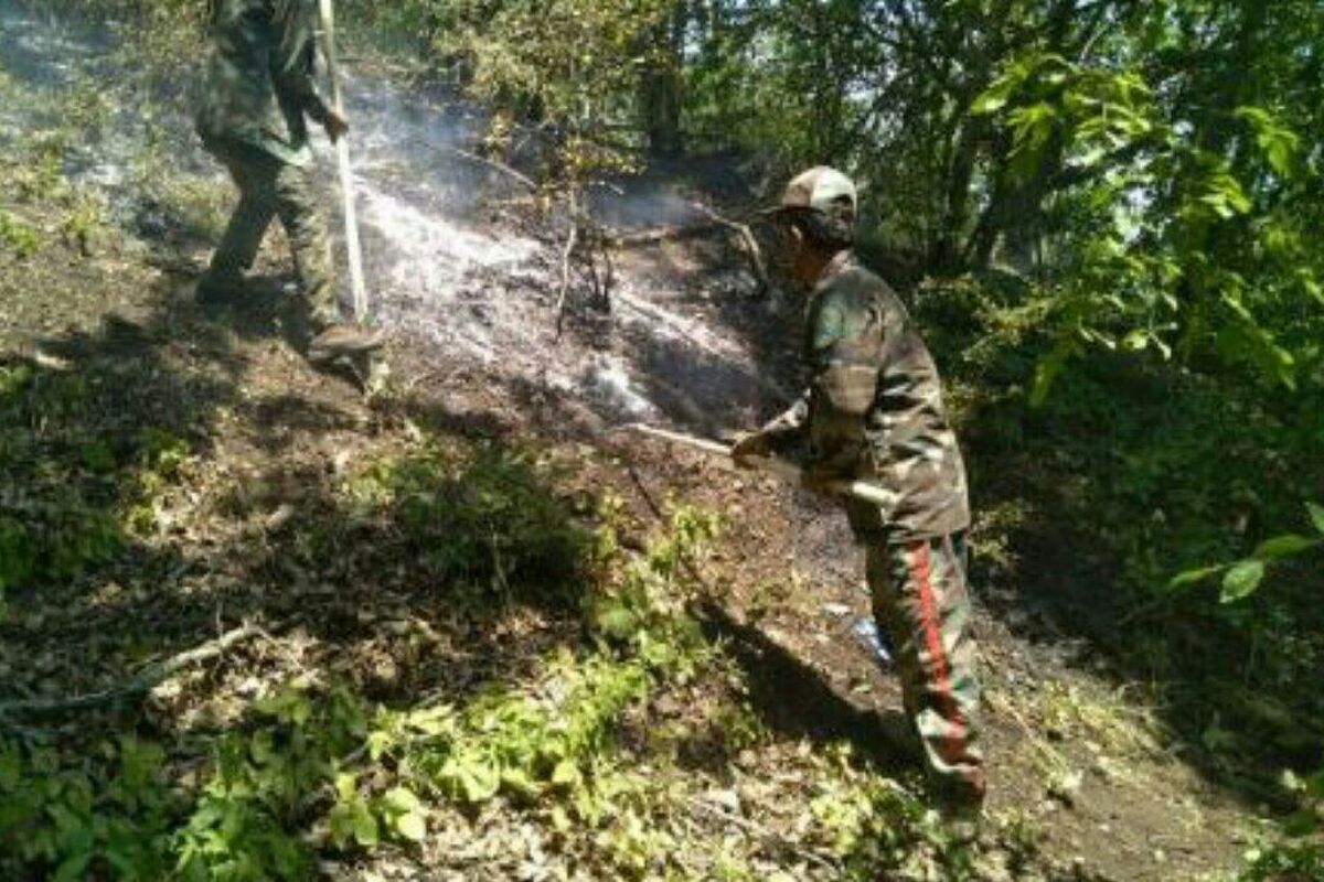 آتش سوزی جنگل کجور