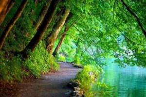 رونمایی از شبیه‌ساز بهشت در فومن