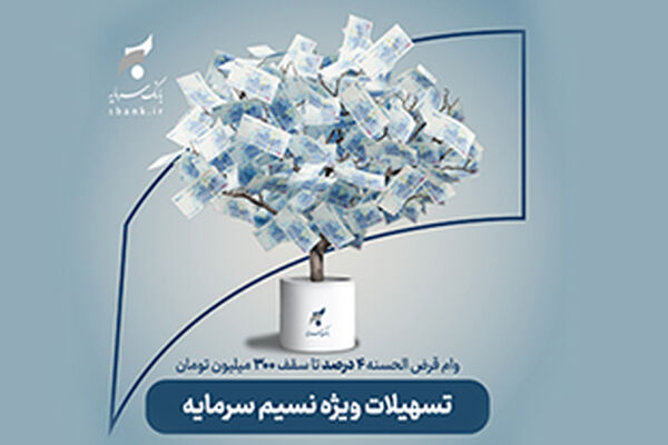 تشریح جزئیات پرداخت تسهیلات قرض‌الحسنه تا سقف ۳ میلیارد ریال در بانک سرمایه