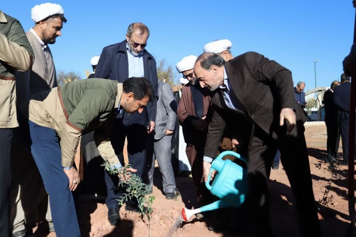 محمدحسن نامی