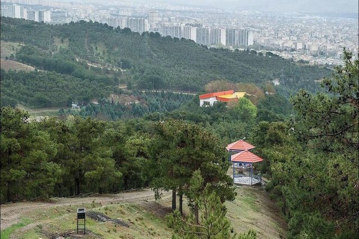 بوستان