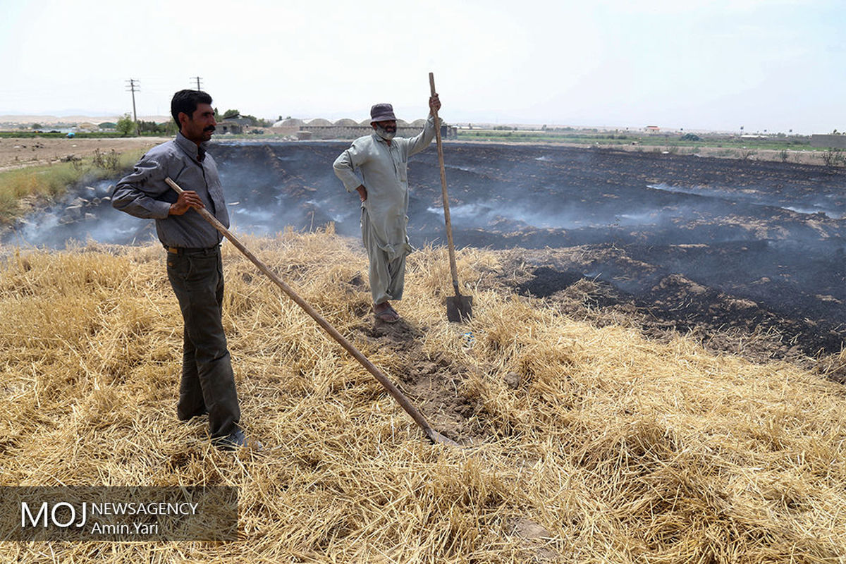 درآمدهای+داغ+-+کشاورزی (1)