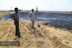 خسارت 15 هزار میلیارد تومانی سیل به کشاورزان