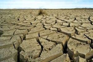 روند افزایش گرمای زمین بی سابقه است
