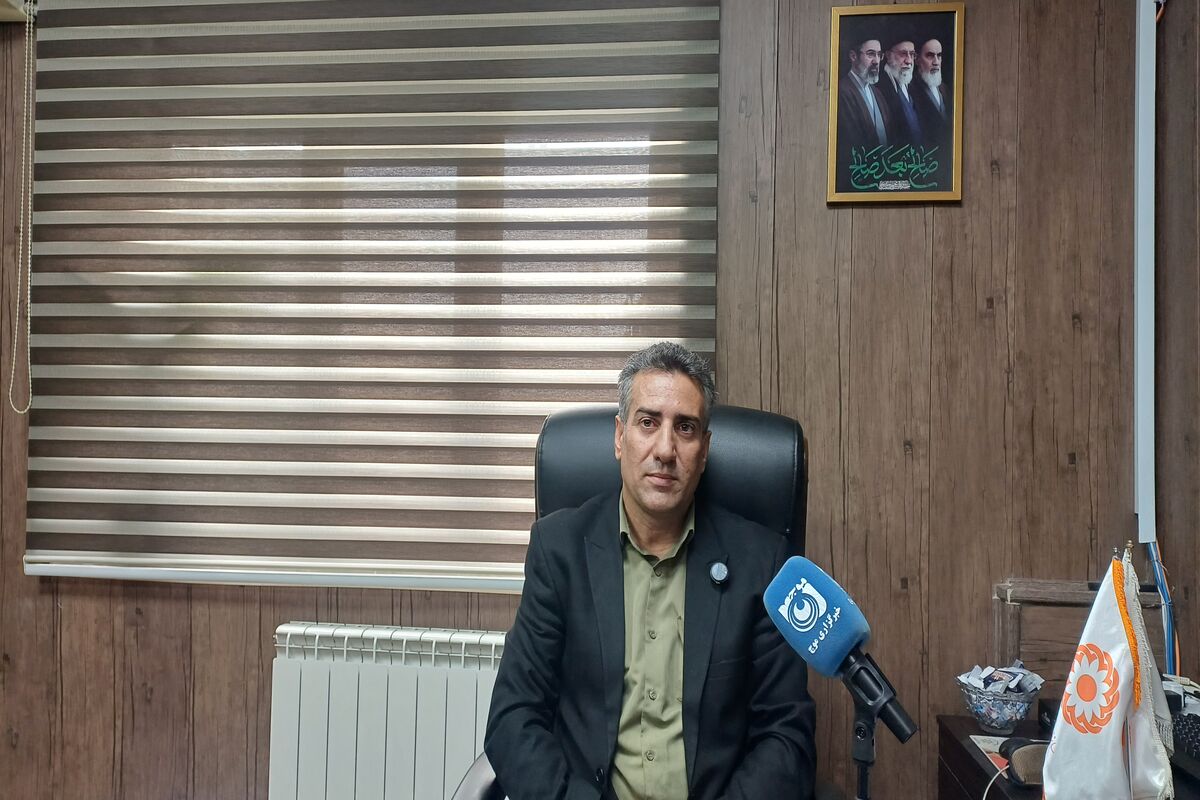 محمودی