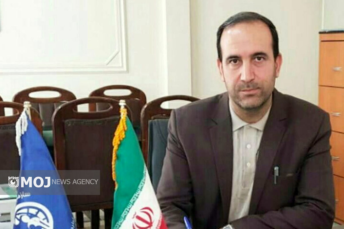 محمدرضا منصوری