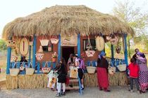 علت توسعه گردشگری روستایی در مازندران وجود اقتصاد با ساختار مرکزی است