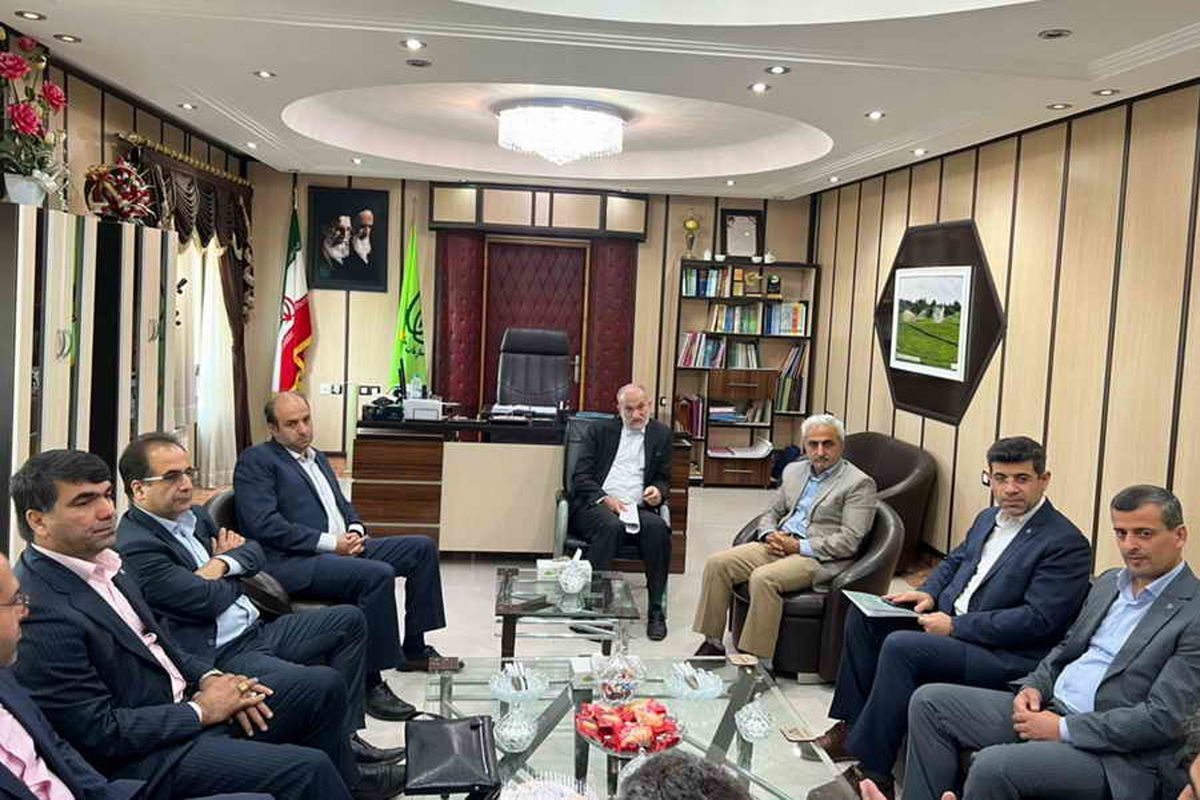 بانک توسعه تعاون