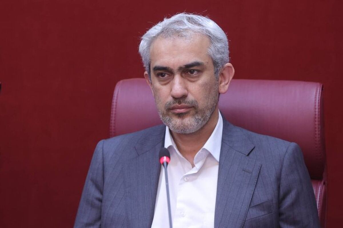 سیدعلی مدنی‌زاده وزیر امور اقتصادی و دارایی وزیر اقتصاد