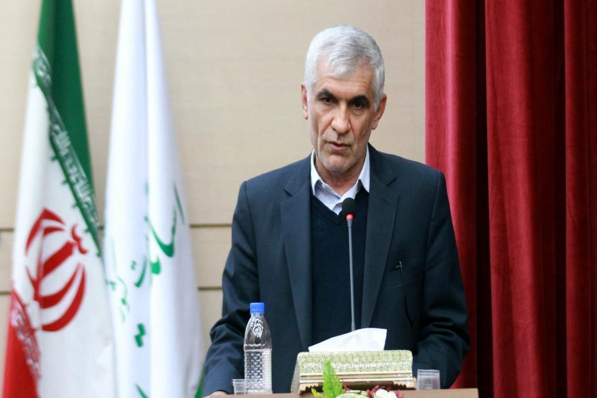 محمد علی افشانی