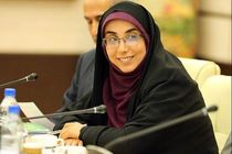 نماینده جنوب استان بوشهر در مجلس عازم بروکسل شد