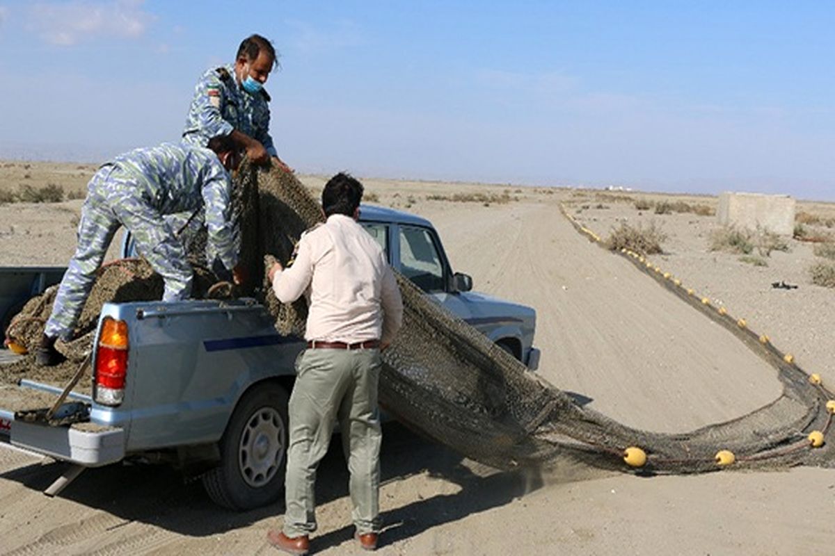 صید غیر مجاز