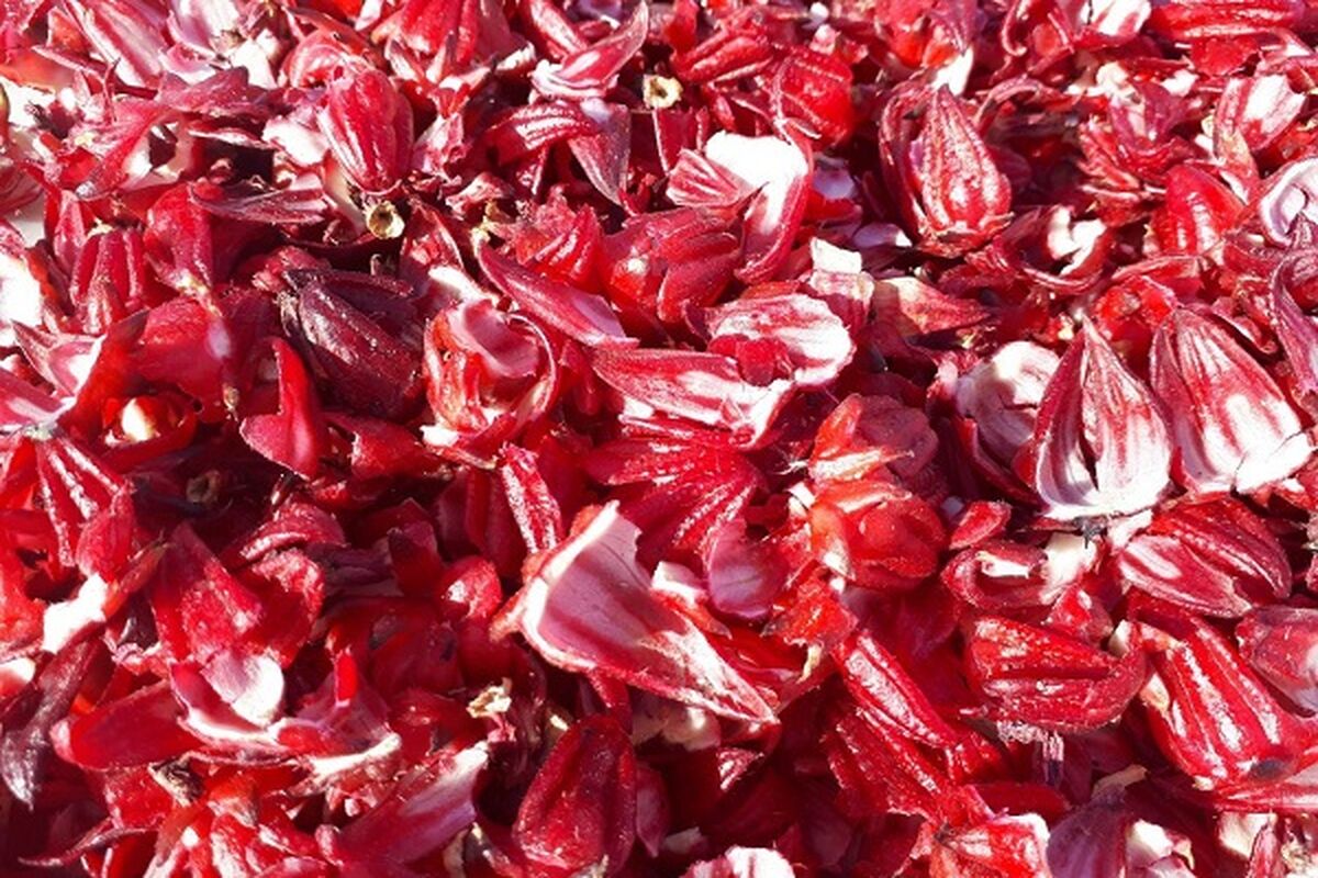 چای ترش