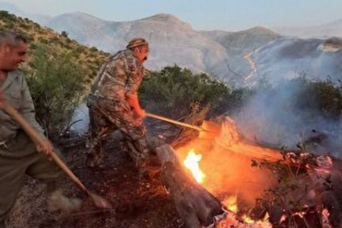 آتش سوزی پارک گلستان