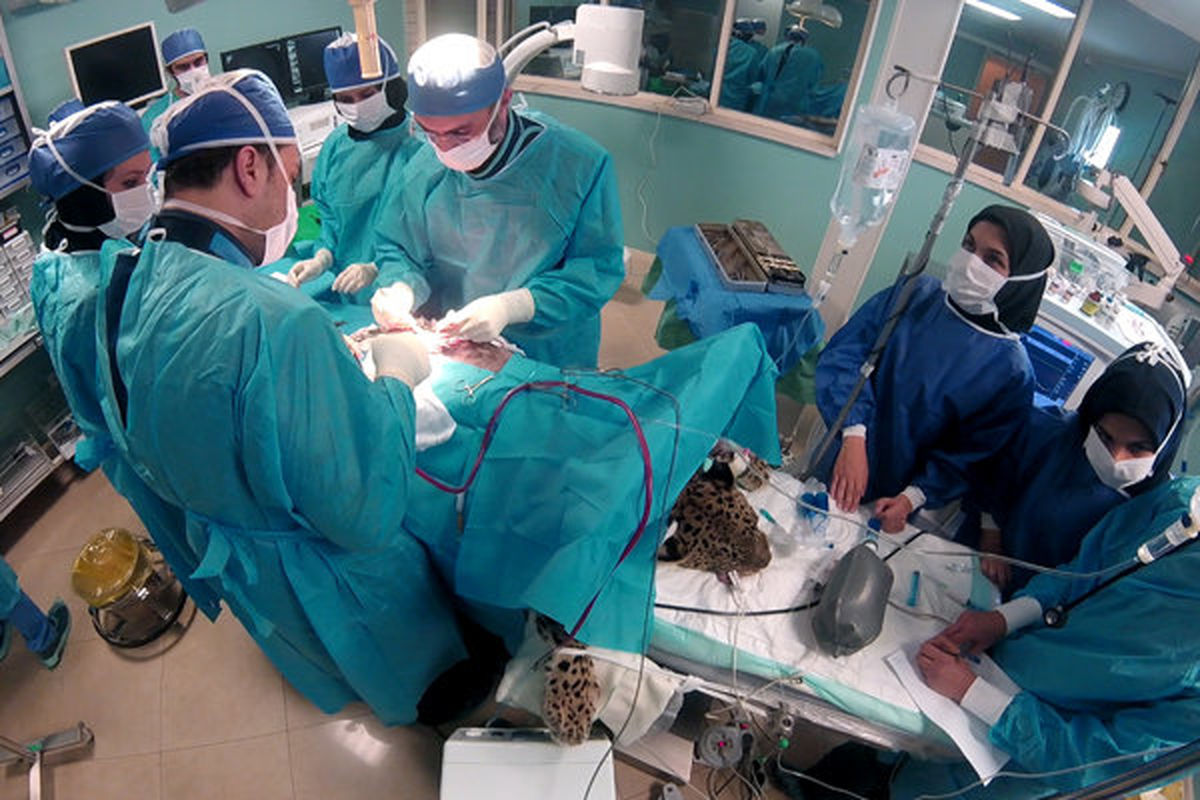 مستند ناجیان گمنام