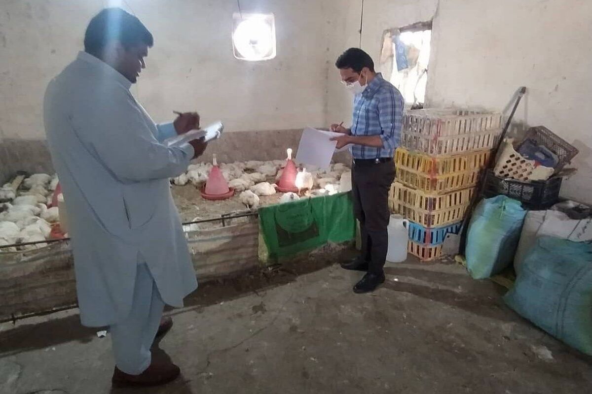 گرانفروشی