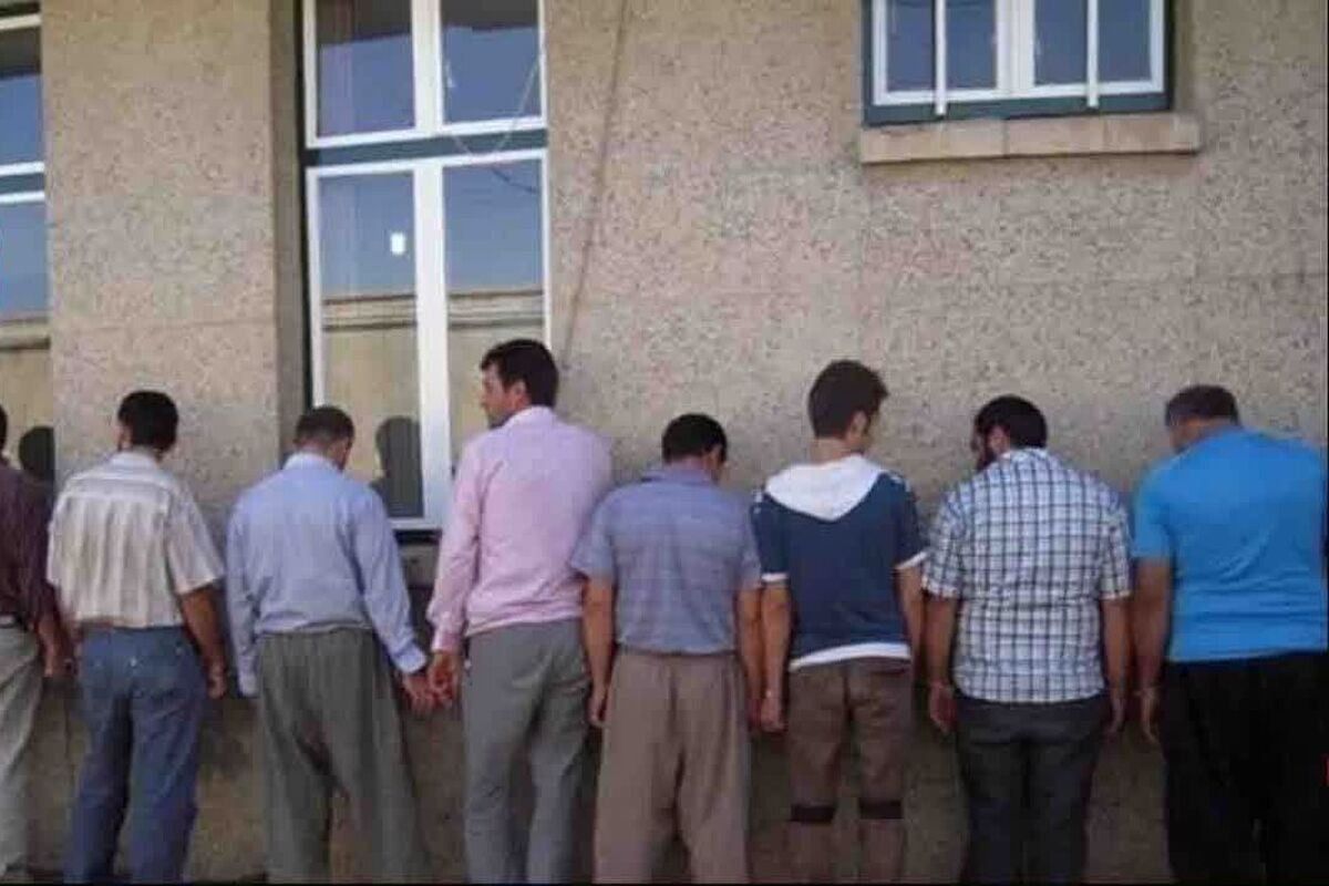 ناجا بویین زهرا (2)