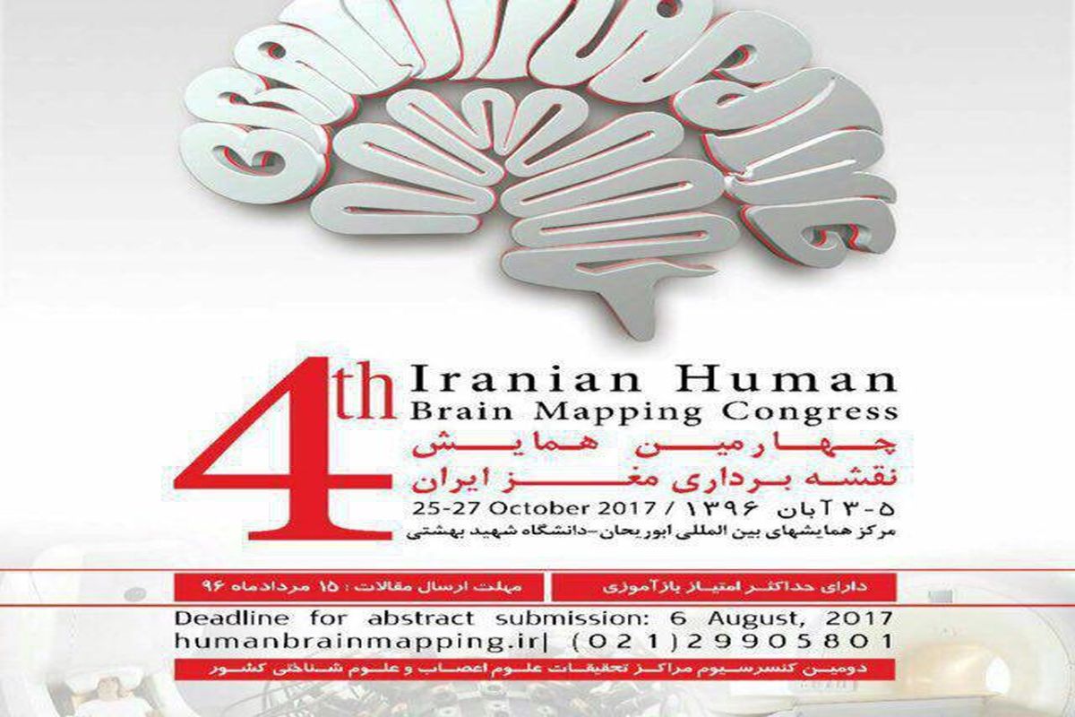 نقشه برداری مغز