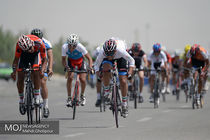 دبیر فدراسیون دوچرخه‌سواری منصوب شد