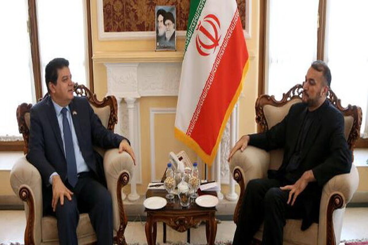 دیدار عدنان محمود و حسین امیرعبداللهیان