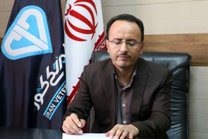 مرغ مرده در چرخه تولید فرآوری نمی شود