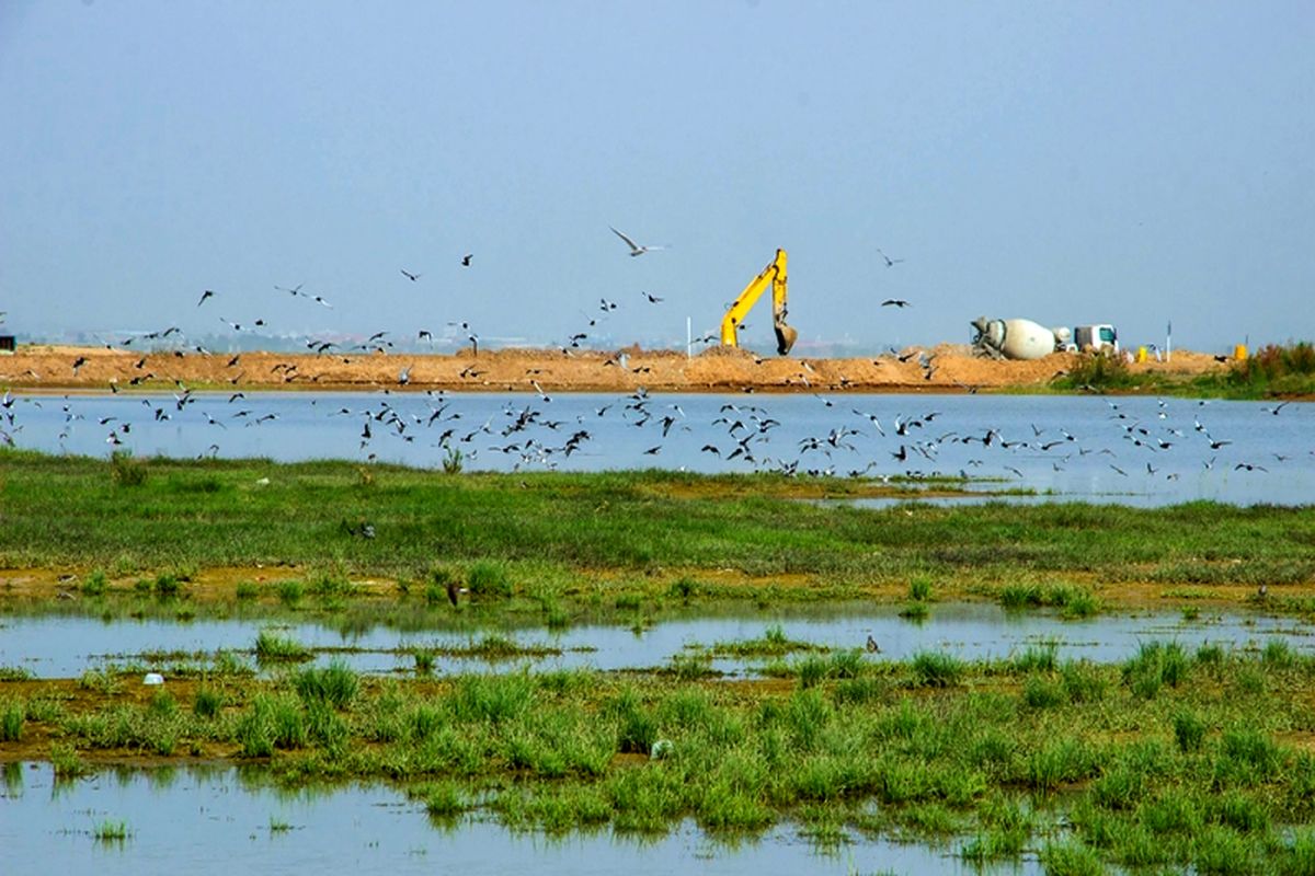 تالاب صالحیه