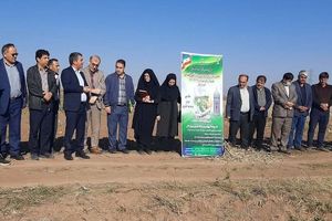 اجرای طرح ترویج بهره‌وری الگوی کشت پاییزه در ۲ هزار و ۵۰ نقطه کشور