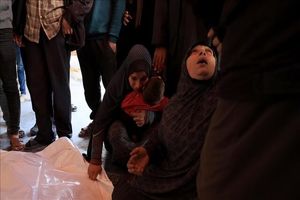  رژیم صهیونیستی بیش از ۱۵۰ فلسطینی را از زمان آغاز آتش‌بس به شهادت رسانده است 