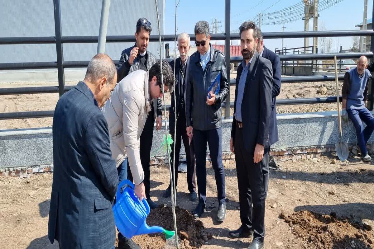 درختکاری به نام شهدا